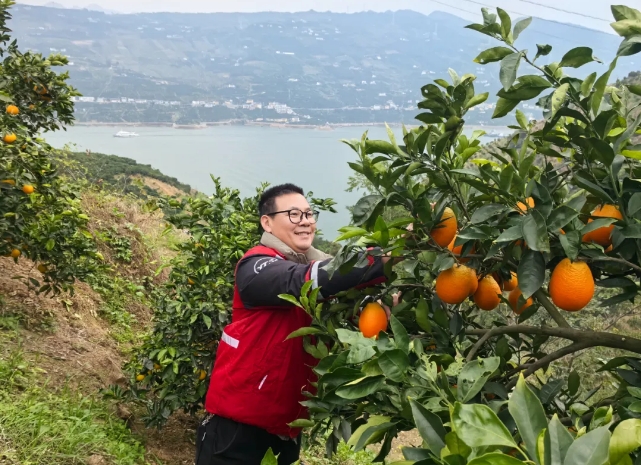 1736214577411626.png 1736214577411626.png