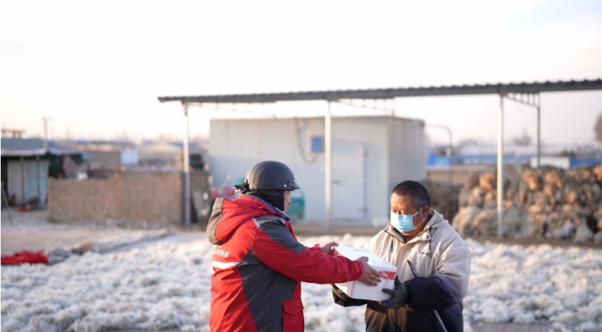 1737711244473219.png 1737711244473219.png