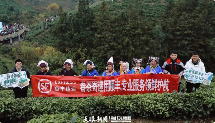 1742189787217746.png 1742189787217746.png