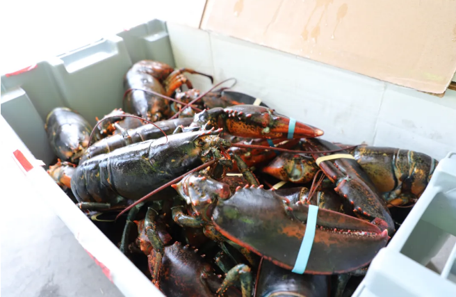 1748241974447371.png 1748241974447371.png