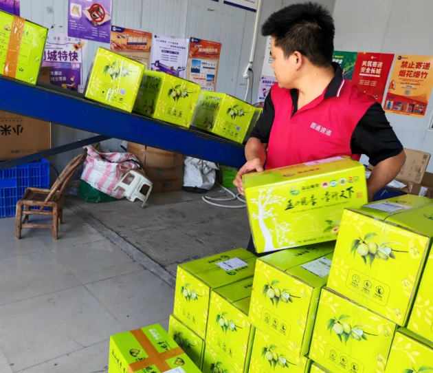 1754966037923962.png 1754966037923962.png