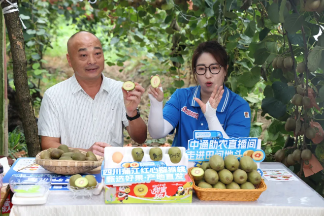 1756710925707662.png 1756710925707662.png