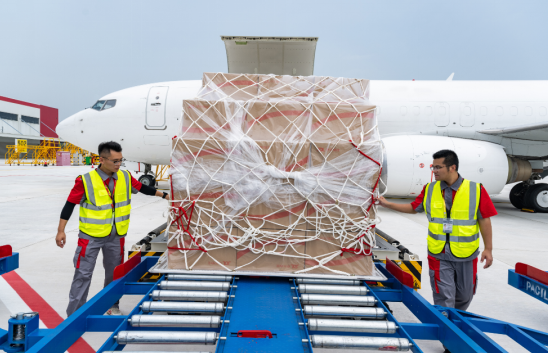 1769131393284915.png 1769131393284915.png